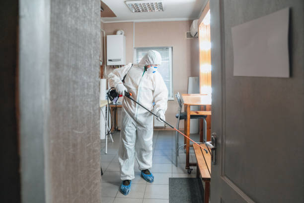 Best HVAC Mold Inspection and Cleaning  in Lakes West, CT