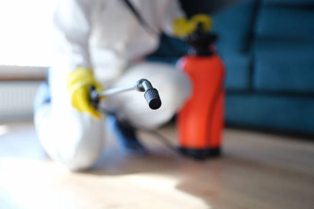 Best Mold Prevention Services  in Lakes West, CT